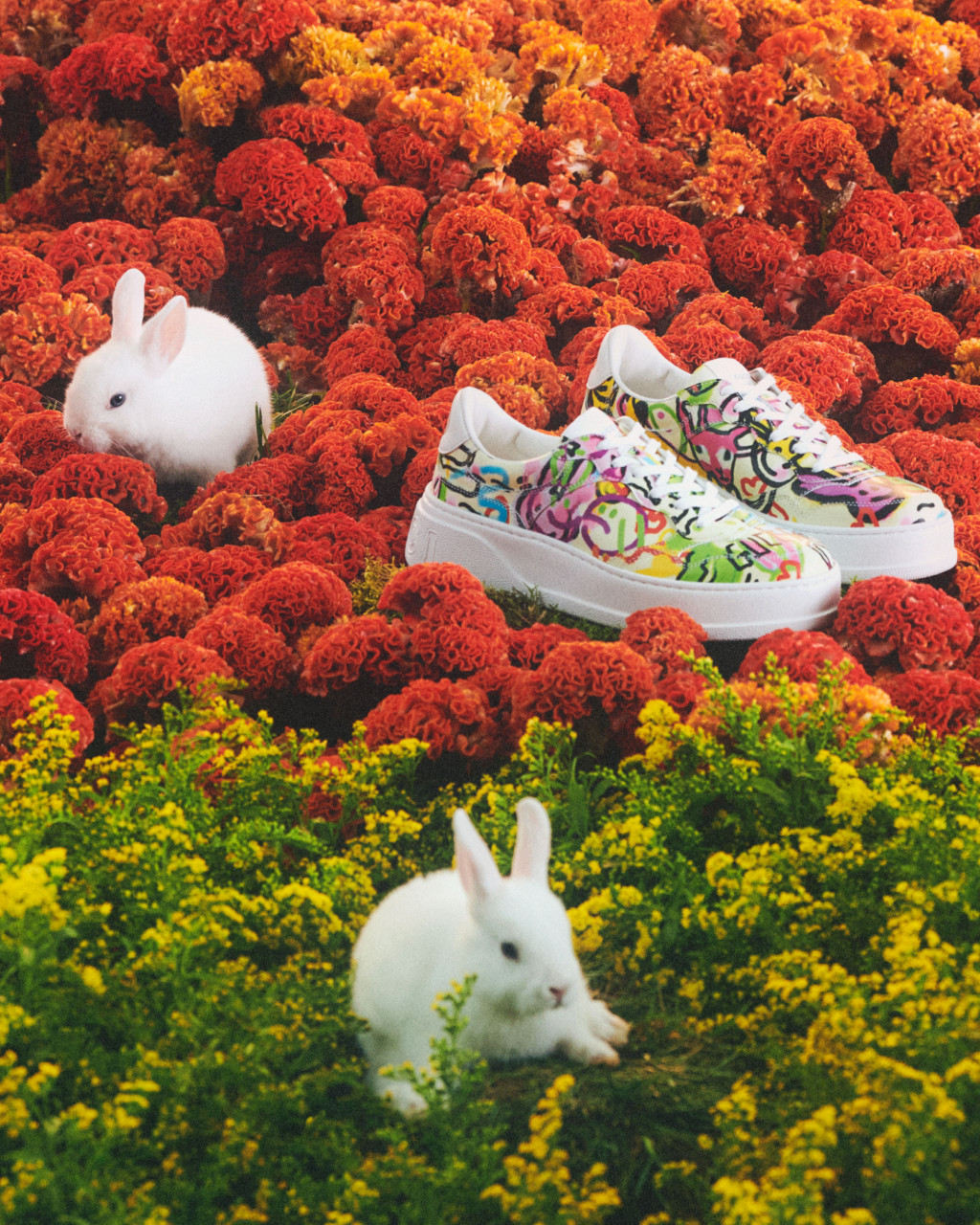 休閒鞋的多彩兔子噴漆圖案，跟服裝如出一轍。(Gucci)